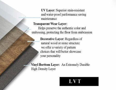 different layers in LVT image
